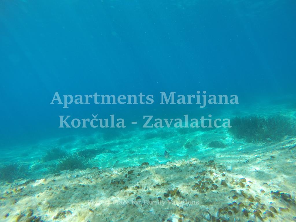 Apartments Marijana Zavalatica Exterior foto